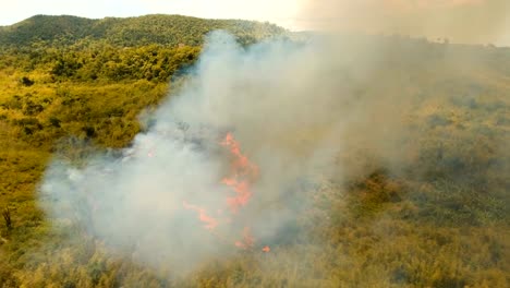 Luftbild-Waldbrand.-Busuanga,-Palawan,-Philippinen