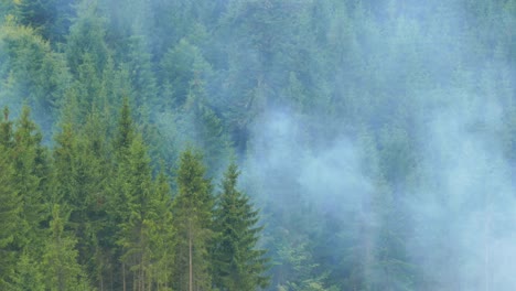 Humo-se-eleva-sobre-el-bosque-de-coníferas-en-la-ladera-de-una-montaña.-Cierre-para-arriba