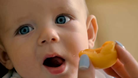 Porträt-von-entzückenden-kleinen-Jungen-ist-die-Aprikose-Essen.