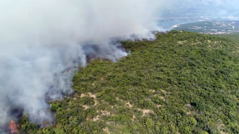 Luftaufnahme-der-brennende-Büsche-in-den-Hügeln