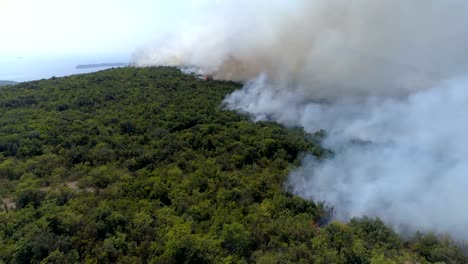 aerial-view-of-burning-bushes-in-the-hills