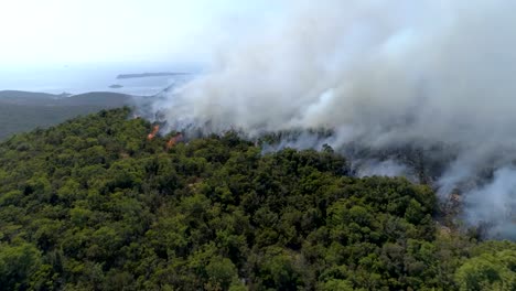 aerial-view-of-burning-bushes-in-the-hills