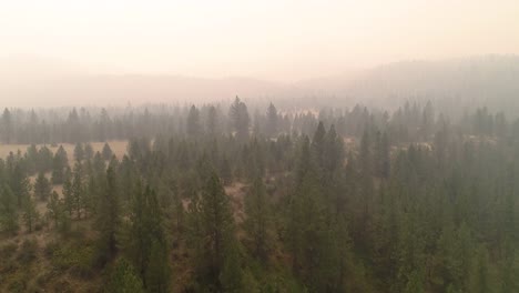 Luftaufnahmen-von-Wildfire-Rauch-im-östlichen-Washington-Wald