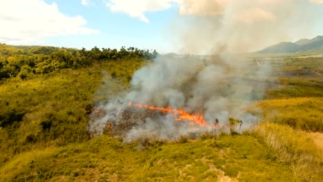 Luftbild-Waldbrand.-Busuanga,-Palawan,-Philippinen