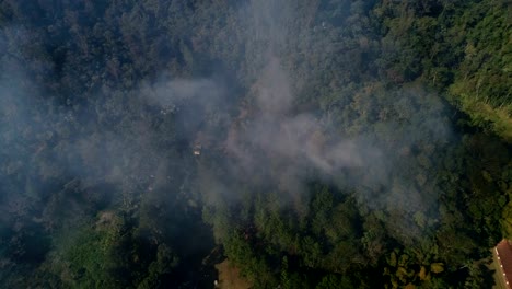 Waldbrand---brennenden-Baum-Antenne