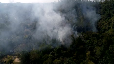 Waldbrand---brennenden-Baum-Antenne