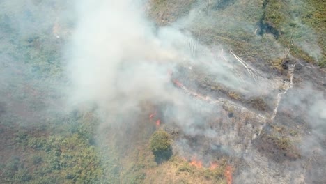 Luftbild-Waldbrand.-Jawa-Island,-Indonesien