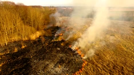 Antena:-Incendios-forestales-de-primavera-de-en-tiempo-de-seca