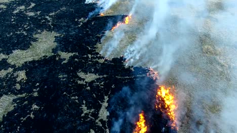 Antena:-Incendios-forestales-de-primavera-de-en-tiempo-de-seca