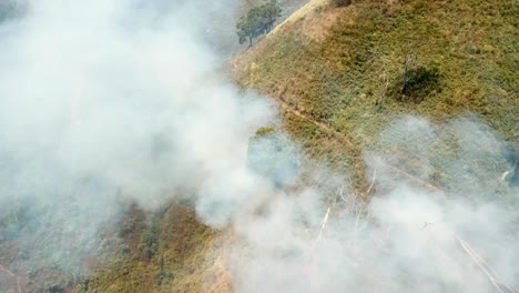 Aerial-view-Forest-fire.-Jawa-island,-Indonesia