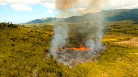 Luftbild-Waldbrand.-Busuanga,-Palawan,-Philippinen