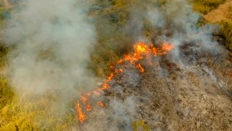 Luftbild-Waldbrand.-Busuanga,-Palawan,-Philippinen