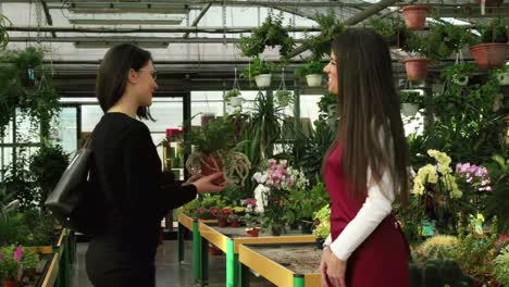 Retrato-de-mujer-en-el-trabajo-como-Florista-en-florería