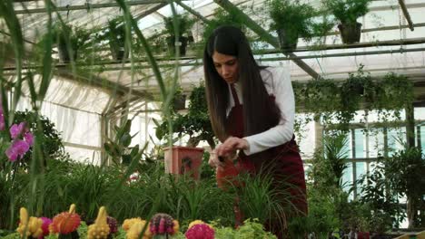 Almacén-propietario-y-trabajadora,-regar-las-plantas-en-la-tienda-de-la-flor