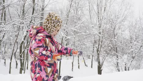 Mädchen-in-einem-Winter-Park-Tauben-füttern