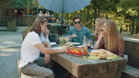 Happy-Friends-In-Outdoor-Picnic-Party-Having-Fun