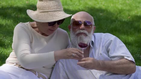 Lovely-senior-couple-at-the-picnic-in-park