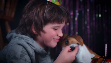 4k-Birthday-Beagle-Dog-Eating-Cake-with-Boy