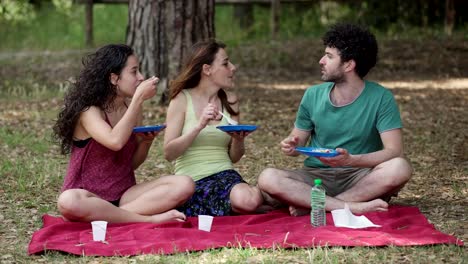 Gruppe-von-Freunden-machen-Picknick-auf-dem-Rasen-im-Park-sitzend