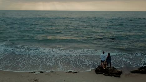 aerial-view-of-young-happy-couple-walking-on-beach-with-husky-dog