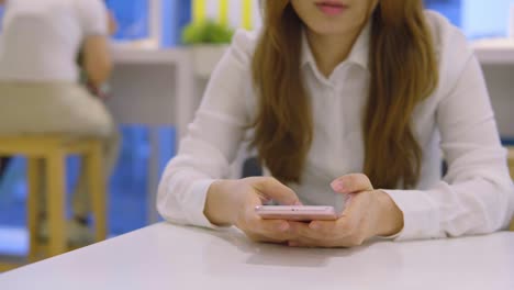 Pretty-asian-businesswoman-working