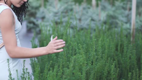 Beautiful-girl-touches-the-tops-of-bushes