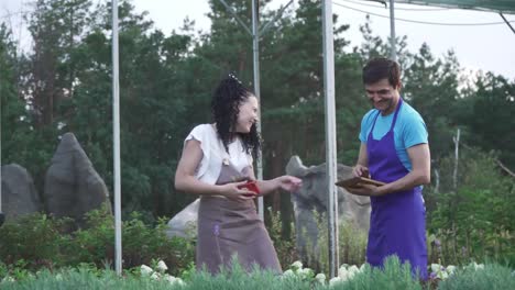 Trabajadores-del-centro-de-jardín-en-obra