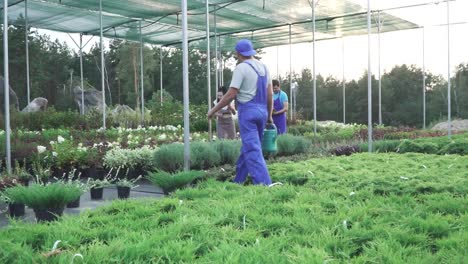 Workers-of-the-garden-center-in-work