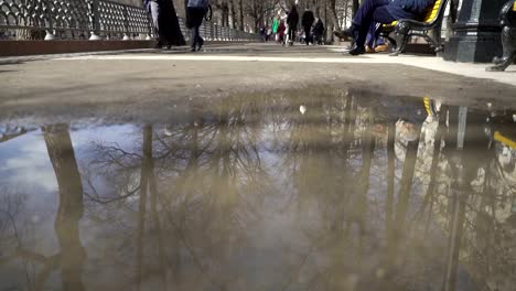 Concept-of-spring-mood-and-family-vacation,-early-spring-in-city-park.-Family-walking-on-park-alley