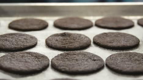 Circles-of-dark-cookie-dough-on-a-baking-tray-at-a-bakery