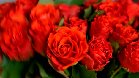 Professional-florist-preparing-red-roses-for-bouquet-at-workshop