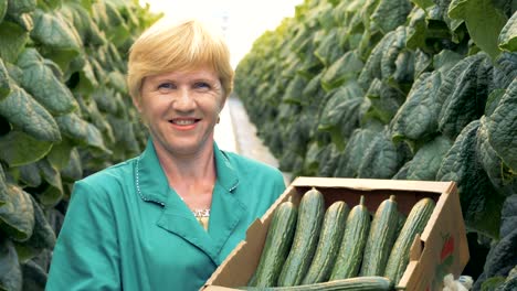 Portrait-of-a-gardener-smiles-at-camera,-holding-a-box-full-of-cucumbers.