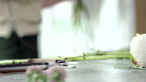 Flower-Shop-Hintergrund