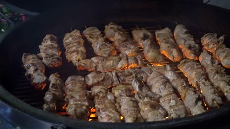 street-fast-food,-grilled-meat