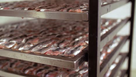 smoking-tray-with-fish-at-smokehouse