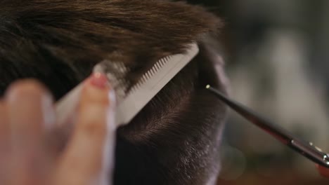 Primer-plano,-maestro-peluquero-hace-peinado-y-estilo-con-tijeras-y-peine.-Concepto-de-barbería