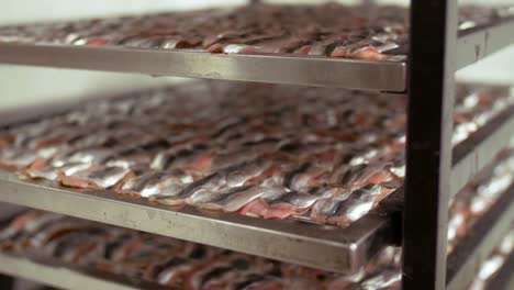 smoking-tray-with-fish-at-smokehouse