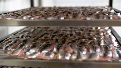 smoking-tray-with-fish-at-smokehouse