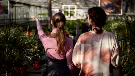 Vista-trasera-del-joven-florista-mujer-caminando-con-un-cliente-y-mostrando-sus-diferentes-plantas,-explicando-la-información.-Joven-escucha-atentamente-a-la-floristería