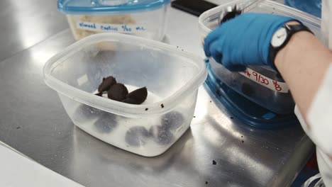 Close-up-of-baker’s-hands-shaping-ingredients-for-sweets