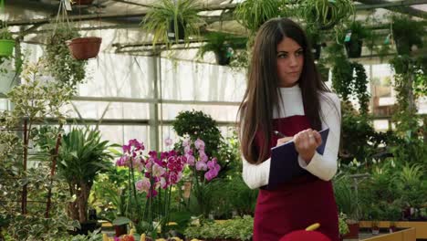 Mädchen-arbeiten-als-Sales-Manager-In-Blumen-Shop-und-Gewächshaus