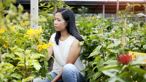 Asiatische-Frauen-Pflege-Blumen,-Baum-in-der-Pergola-Shop.