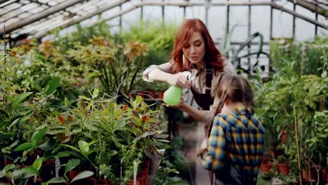 Jardinero-hembra-alegre-es-aspersión-de-agua-sobre-las-plantas-y-divertirse-con-su-adorable-hijita.-Cultivo-de-flores,-gente-y-concepto-de-familia.