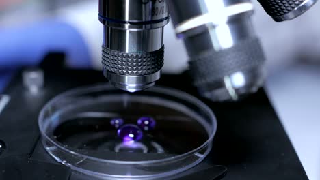 Scientist-hands-with-microscope-close-up-shot-in-the-laboratory.-Medical-laboratory-research-tools-in-the-hands-in-gloves.-Close-up.-Forensic-examination.-4K-UHD.