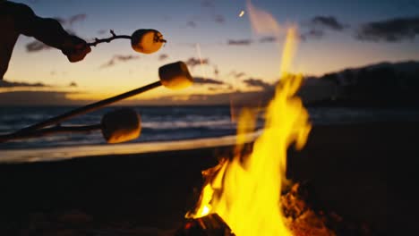 Roasting-Marshmallows-over-Fire