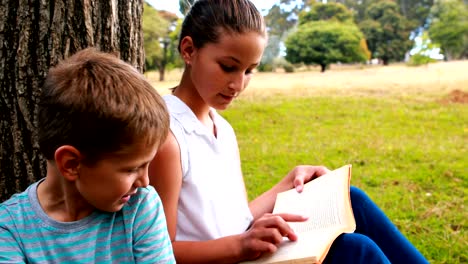 Kinder-lesen-Bücher-im-park