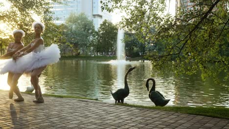 Danzas-de-hermosas-bailarinas-en-el-parque-cerca-del-estanque-con-cisnes-en-el-fondo