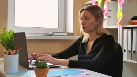 portrait-focused-employee-use-computer