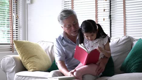 Senior-hombre-enseñando-chica-para-leer-el-libro-juntos-en-sala-de-estar-en-casa.-Ancianos-llevar-a-los-niños-sentarse-en-el-regazo.-Aprender-el-concepto-de-caucásico-familia,-educación,-escuela-primaria-y-crecimiento.-resolución-de-4-k.