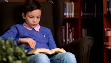 portrait-of-schoolboy-doing-their-homework-in-library-or-room.